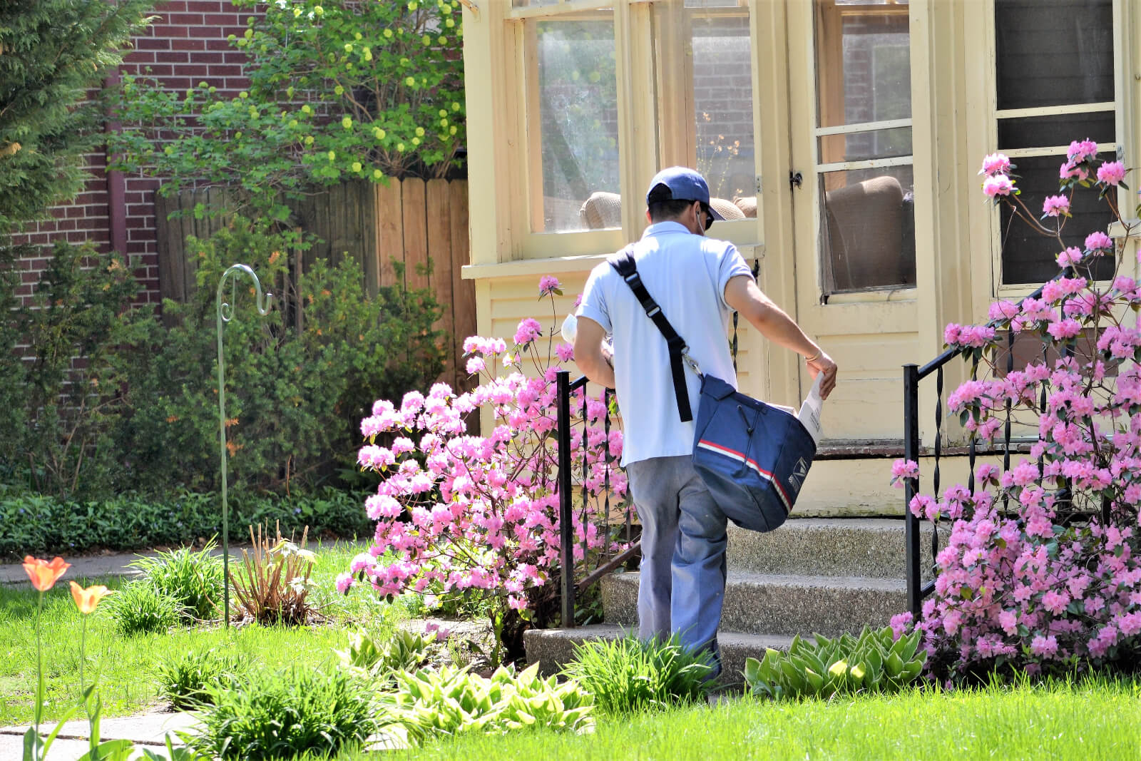 Every Door Direct Mail Postcard Design Tips to Reach Customers